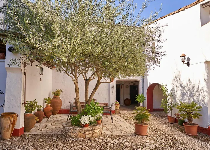 Zarzo Del Tragaluz